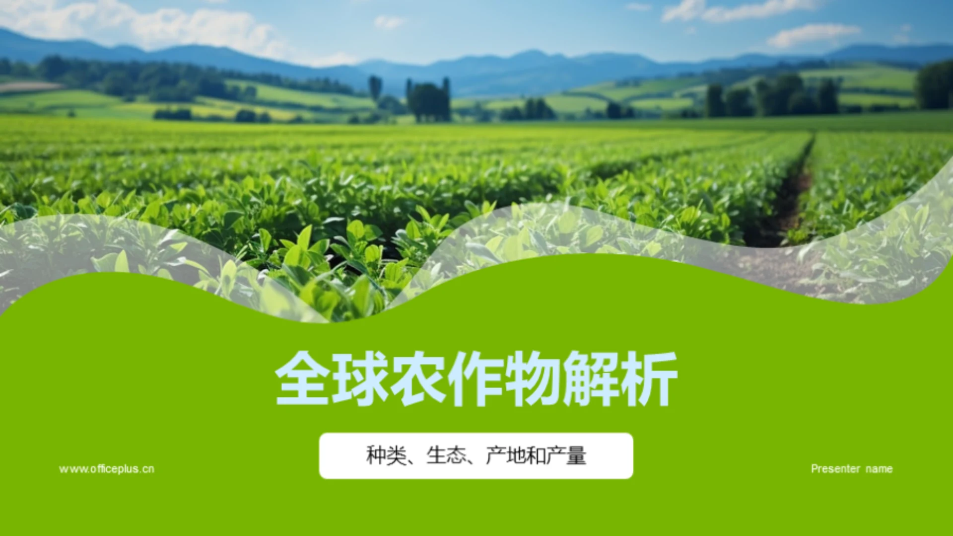 全球农作物解析