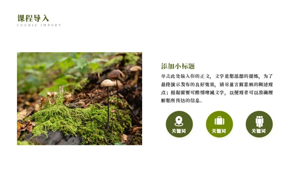 蜜蜂采蜜自然与科学通用PPT模板