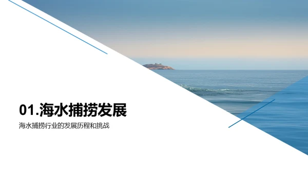 深海捕捞：挑战与新机遇