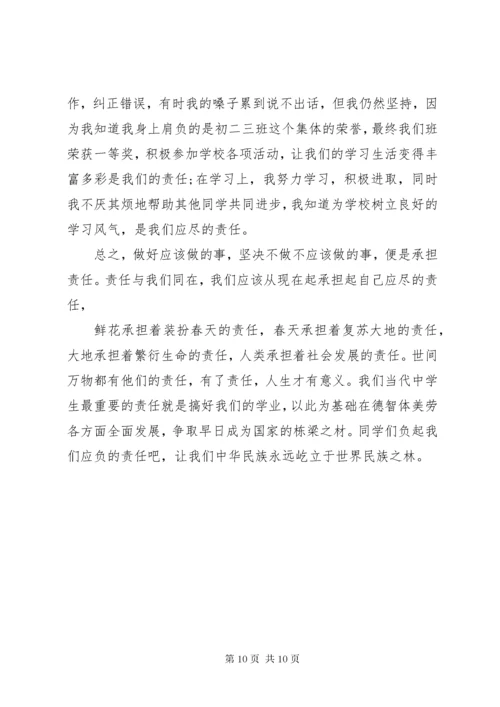 当代青年责任与担当演讲稿4篇.docx