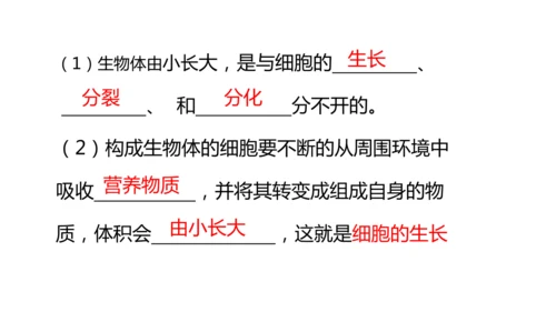 人教版（2024）七年级上册1.3.1细胞通过分裂产生新细胞 课件(共19张PPT)