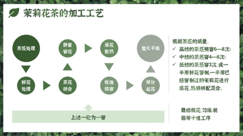 墨绿色中国风小清新茉莉花茶介绍PPT模板