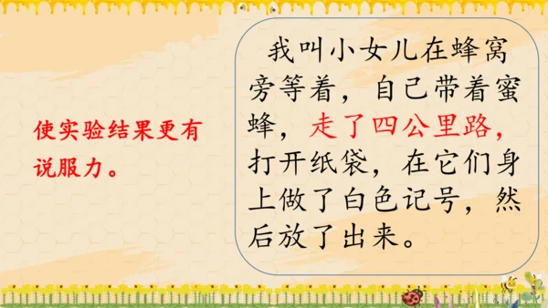 14《蜜蜂》课件