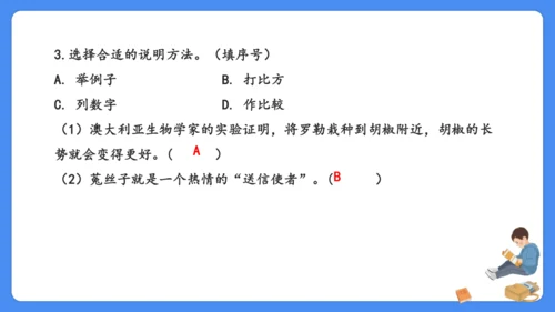 期末专项复习 说明文阅读复习（课件）-2024-2025学年语文五年级上册（统编版）