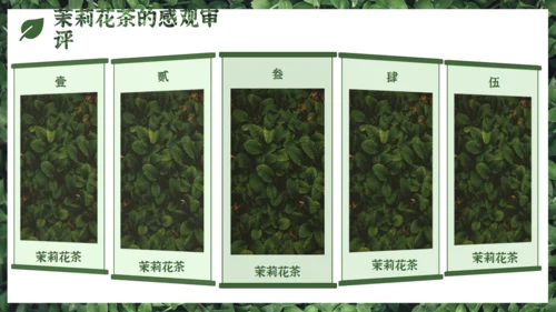 茉莉花茶满墙绿色植物通用PPT模板