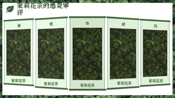 茉莉花茶满墙绿色植物通用PPT模板