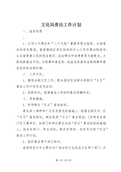 文化局普法工作计划 (5).docx