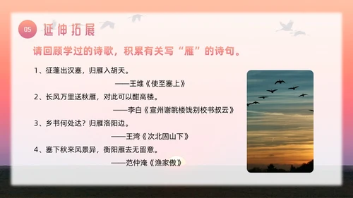 粉色简约八年级语文下册大雁归来PPT模板宣传PPT动态PP