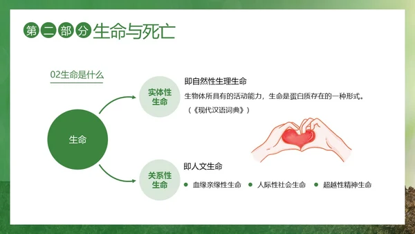2023年生命教育认识生命珍爱生命安全教育主题班会PPT课件
