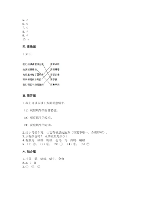 教科版一年级下册科学期末测试卷及参考答案（预热题）.docx
