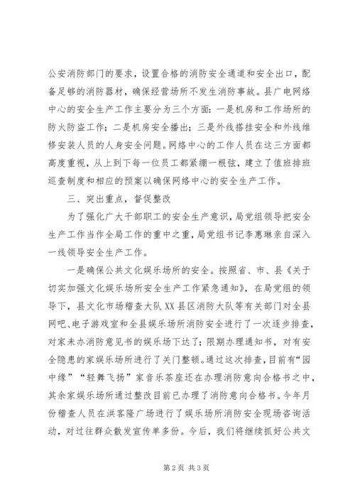 县文广局安全生产情况汇报材料 (2).docx