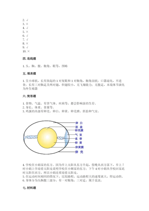 教科版科学三年级下册 期末测试卷带答案（精练）.docx