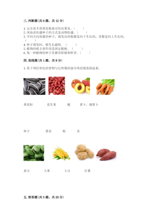 科学四年级下册第一单元植物的生长变化测试卷word.docx
