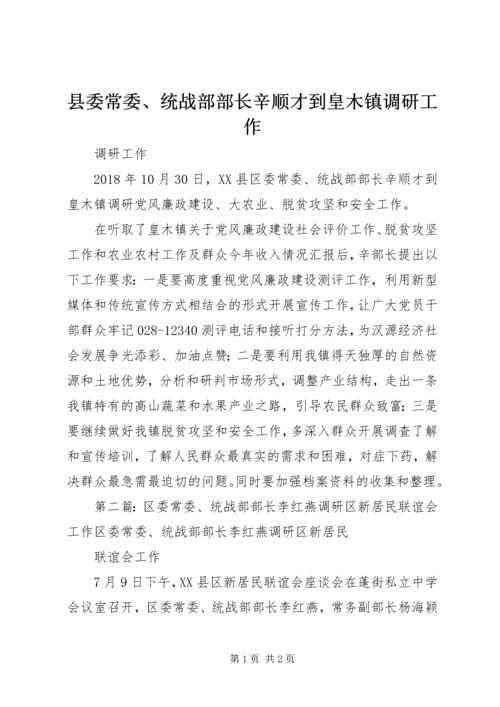 县委常委、统战部部长辛顺才到皇木镇调研工作.docx