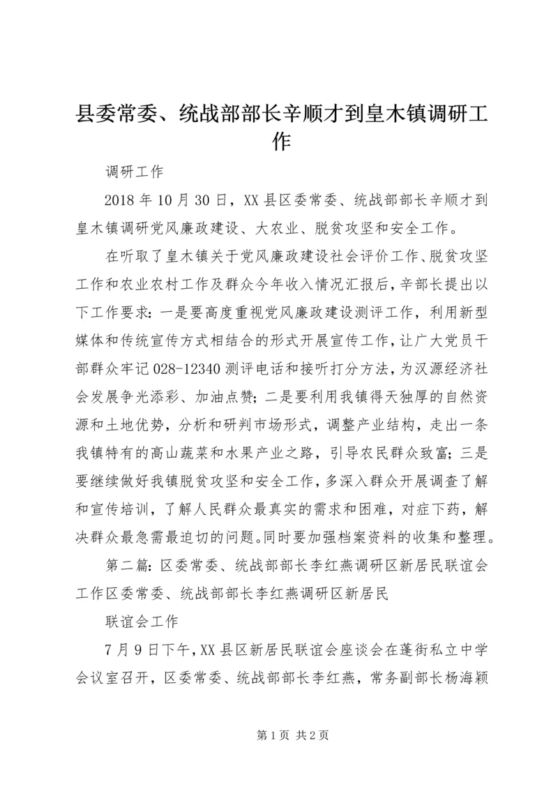 县委常委、统战部部长辛顺才到皇木镇调研工作.docx