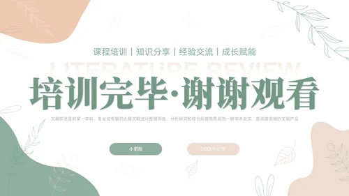 莫兰迪风如何写好文献综述PPT课件
