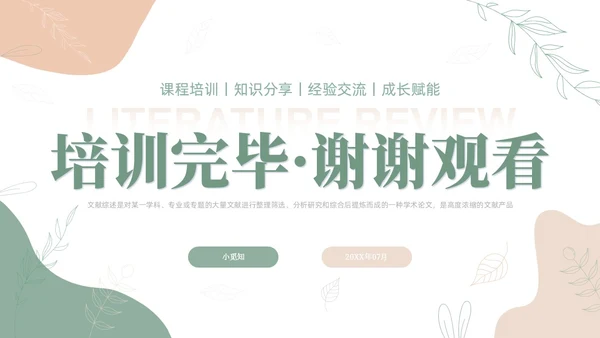 莫兰迪风如何写好文献综述PPT课件