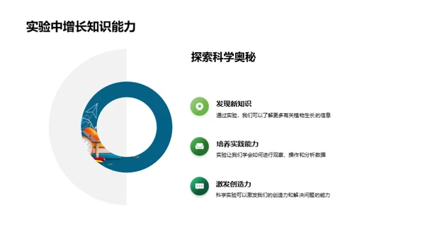 植物生长科学探索