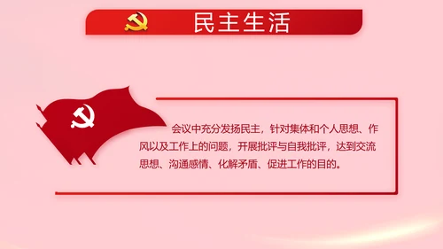 红色党支部党员代表大会工作总结PPT
