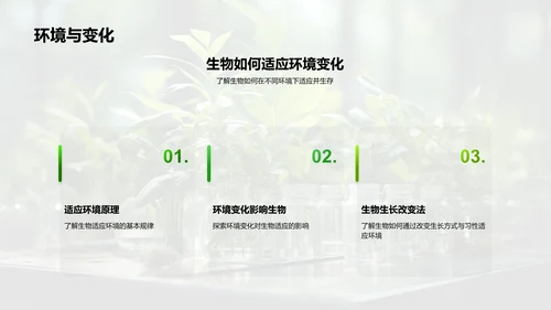 探秘植物生长