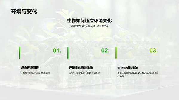 探秘植物生长
