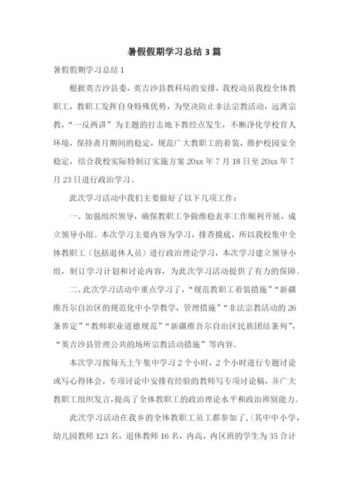 暑假假期学习总结3篇.docx