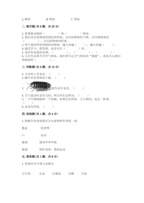 教科版一年级下册科学期末测试卷【考点提分】.docx