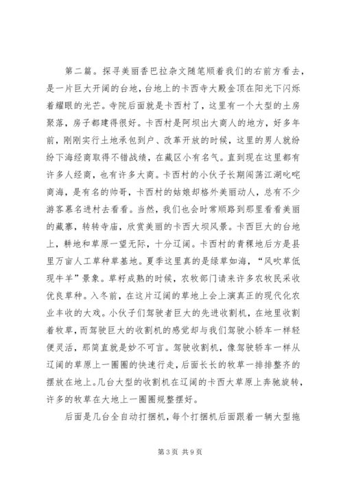 香巴拉信使观后感.docx