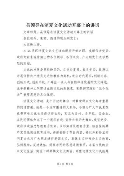 县领导在消夏文化活动开幕上的讲话.docx