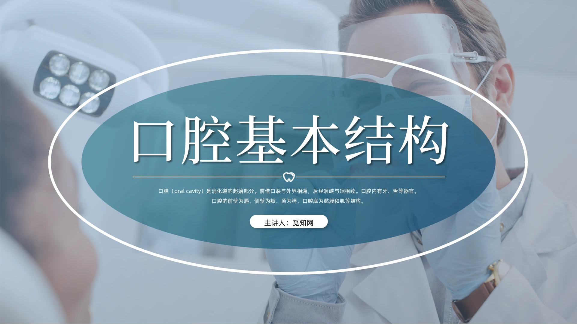 墨绿色商务口腔基本结构PPT模板