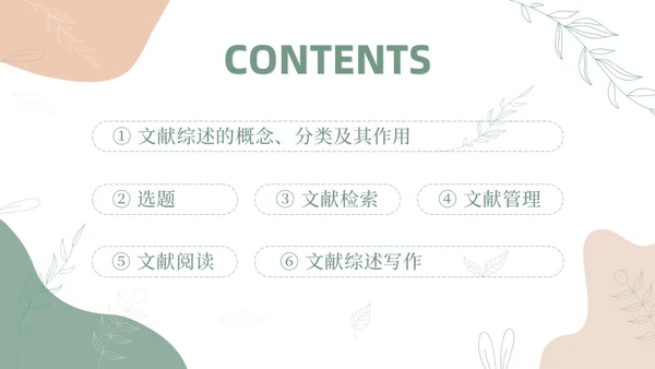 莫兰迪风如何写好文献综述PPT课件
