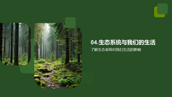 生态智慧：我们的责任