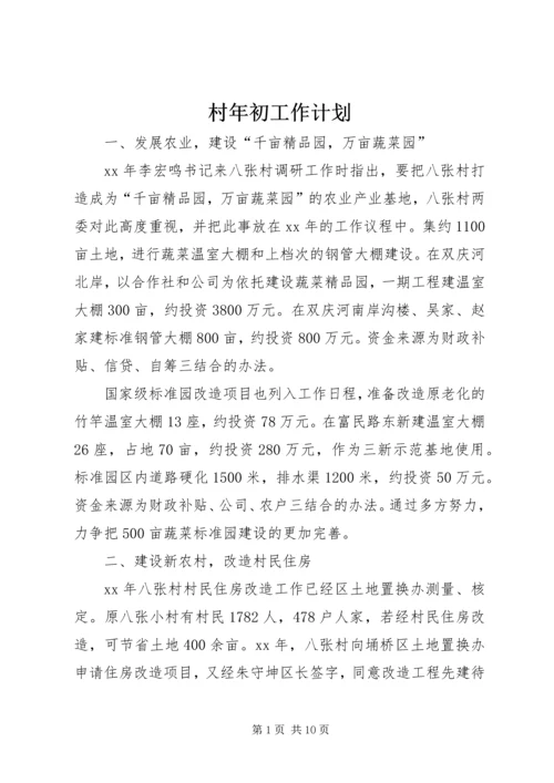 村年初工作计划.docx