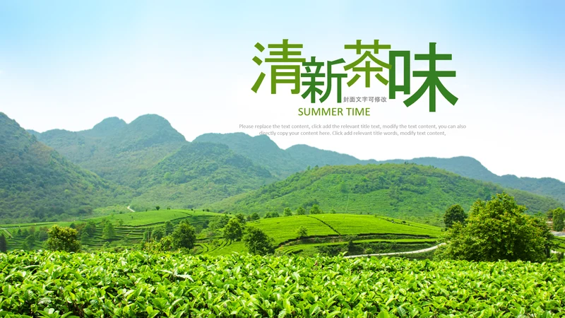 清新茶叶茶道春茶农村旅游茶园绿茶红茶PPT