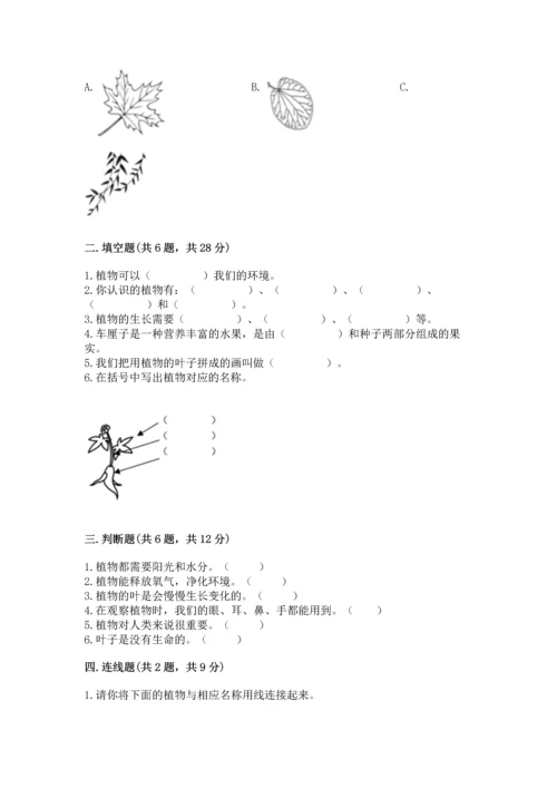 教科版科学一年级上册第一单元《植物》测试卷附答案【b卷】.docx