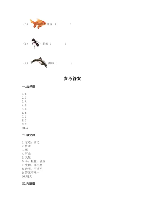 教科版二年级上册科学期末测试卷及参考答案【研优卷】.docx