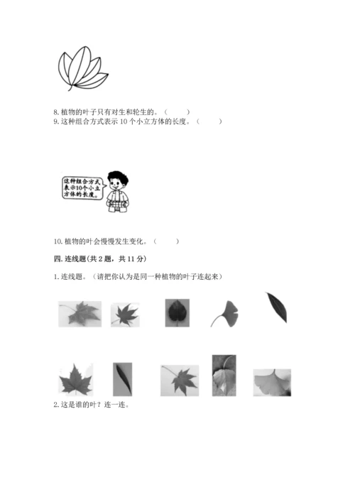 教科版一年级上册科学期末测试卷含答案（夺分金卷）.docx