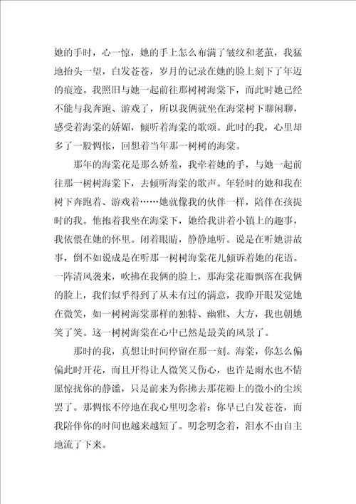 最美的风景作文800字19篇