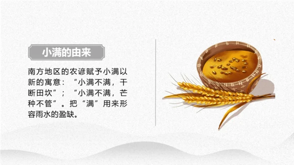 小满节气介绍PPT模板