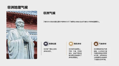 探索非洲野生动物之旅
