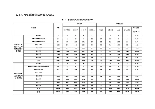 人才规划实施方案