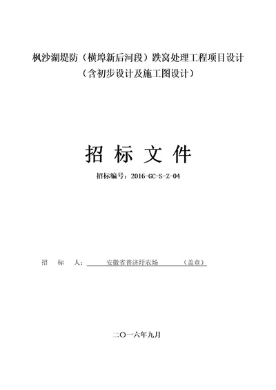 跌窝处理工程项目设计招标文件