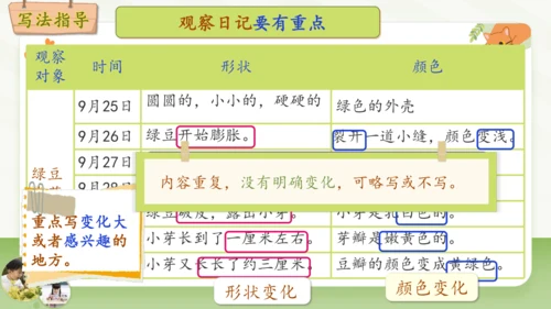 统编版2024-2025学年语文四年级上册第三单元习作 观察日记-（教学课件）