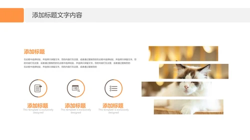 简约风宠物店商业计划书爱宠猫咪PPT模板
