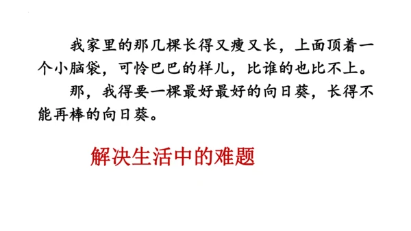 26《宝葫芦的秘密（节选）》课件