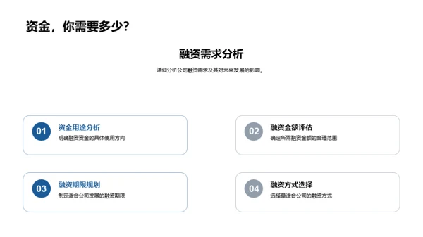 公司融资策略解析