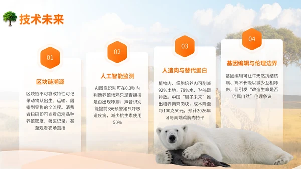 橙色世界动物日志愿者科普PPT模板