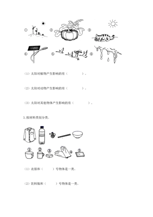 教科版二年级上册科学期末测试卷（b卷）.docx