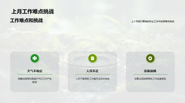 林业事务回顾与展望