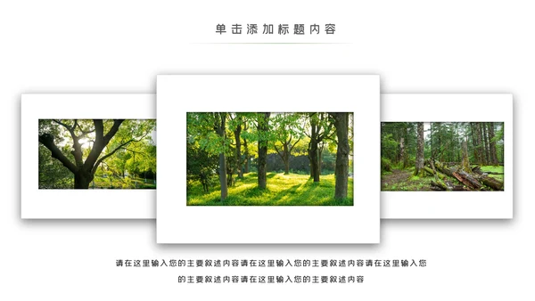 环境保护生态森林森业PPT动态模板
